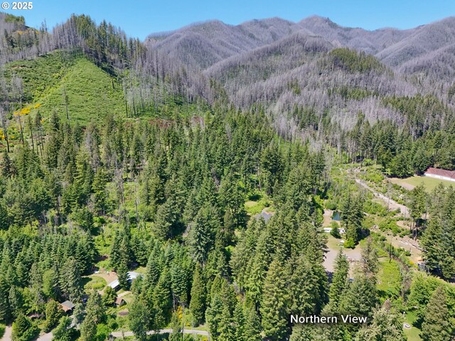 51013 Mckenzie Hwy, Vida, OR 97488 - mountain view with a forest