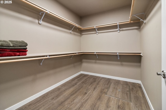 spacious closet with dark wood-style flooring
