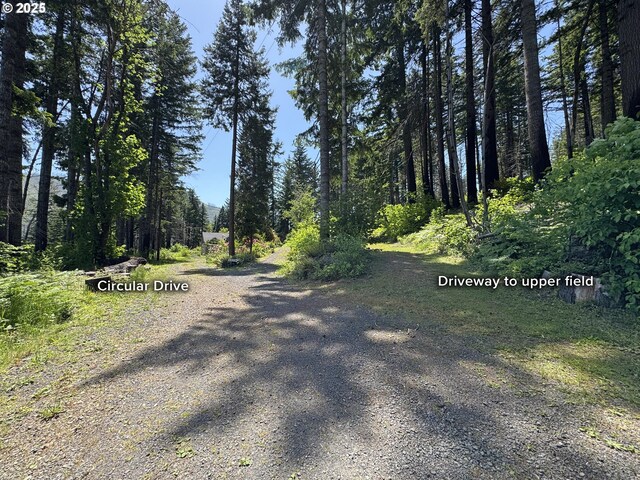 51013 Mckenzie Hwy, Vida, OR 97488 - view of street