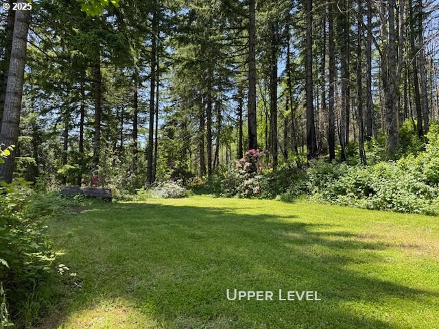 51013 Mckenzie Hwy, Vida, OR 97488 - view of grassy yard