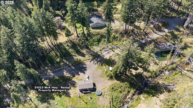 drone / aerial view