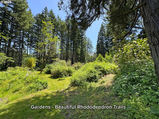 51013 Mckenzie Hwy, Vida, OR 97488 - view of tree filled area