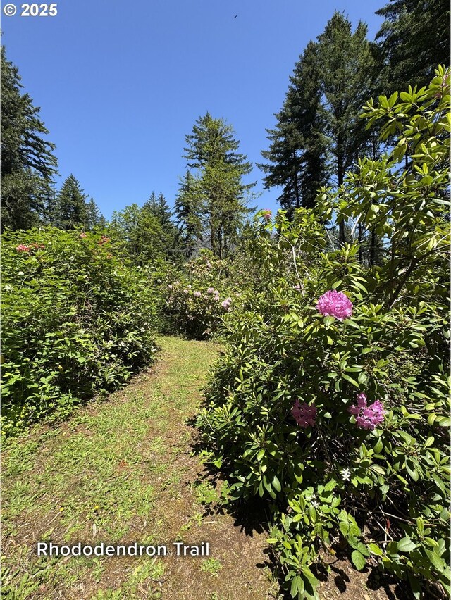 51013 Mckenzie Hwy, Vida, OR 97488 - view of yard