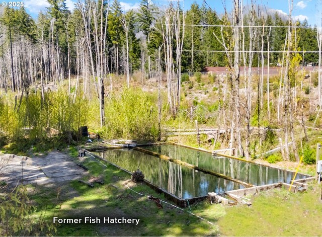 51013 Mckenzie Hwy, Vida, OR 97488 - view of yard