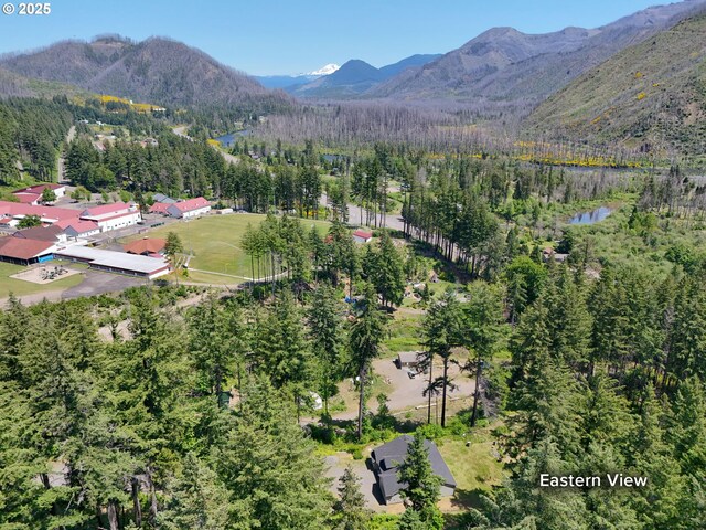 51013 Mckenzie Hwy, Vida, OR 97488 - view of mountain backdrop featuring a heavily wooded area