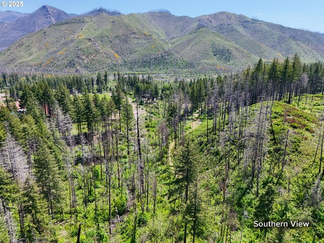 51013 Mckenzie Hwy, Vida, OR 97488 - aerial view of property and surrounding area featuring a heavily wooded area and mountains