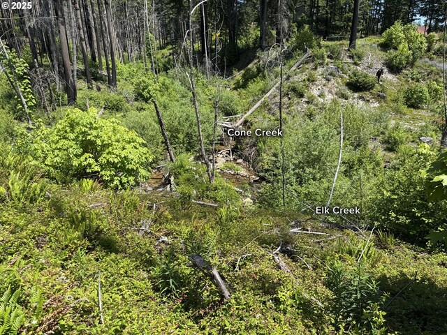 51013 Mckenzie Hwy, Vida, OR 97488 - view of nature