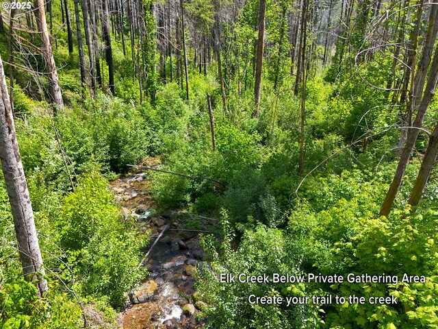 51013 Mckenzie Hwy, Vida, OR 97488 - view of tree filled area