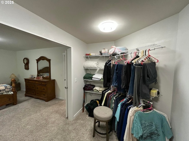 spacious closet with carpet