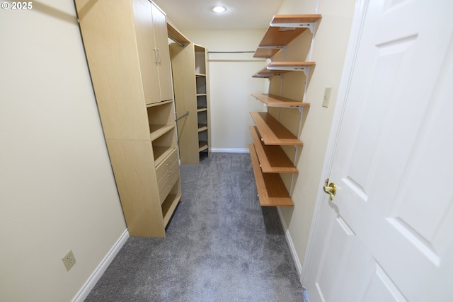 2525 Pine St, Seaside, OR 97138 - spacious closet with dark carpet
