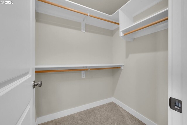 spacious closet with carpet flooring