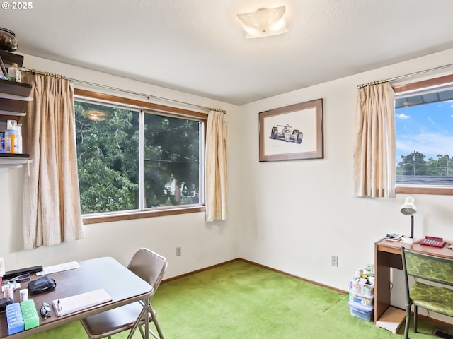 office space with carpet and baseboards