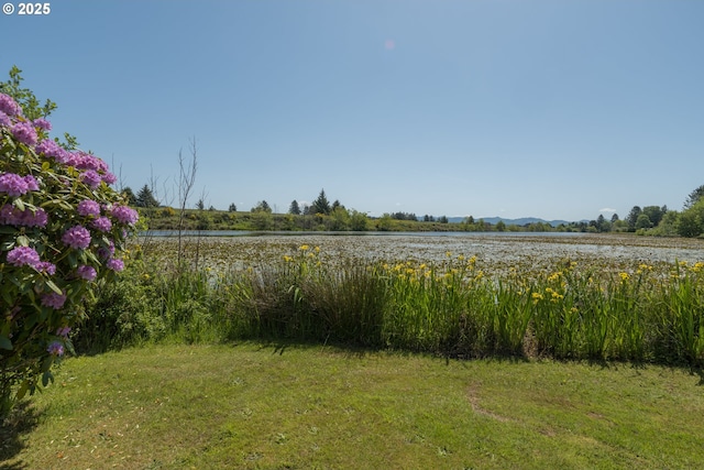 90431 Lewis Rd, Warrenton, OR 97146 - view of grassy yard with a water and mountain view