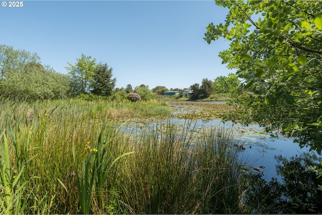 90431 Lewis Rd, Warrenton, OR 97146 - view of local wilderness with a nearby body of water
