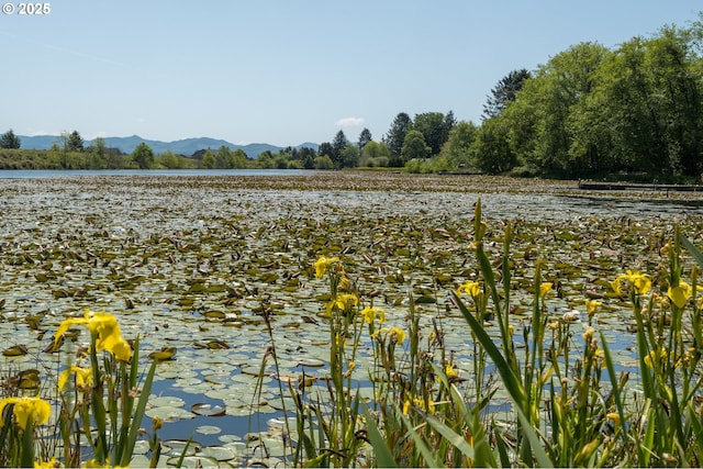 90431 Lewis Rd, Warrenton, OR 97146 - water view with mountains
