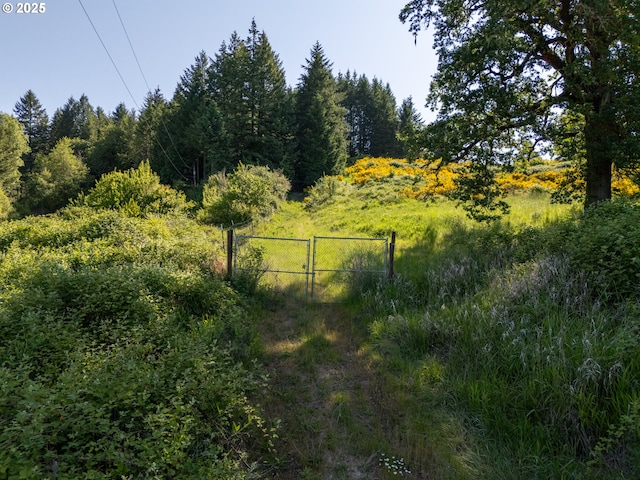 6900 NW Gales Creek Rd, Forest Grove, OR 97116