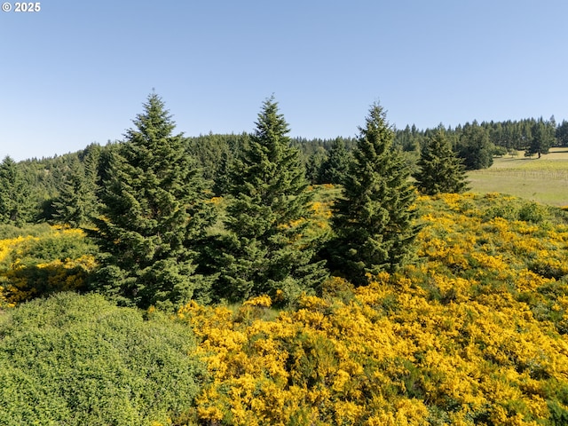 6900 NW Gales Creek Rd, Forest Grove, OR 97116