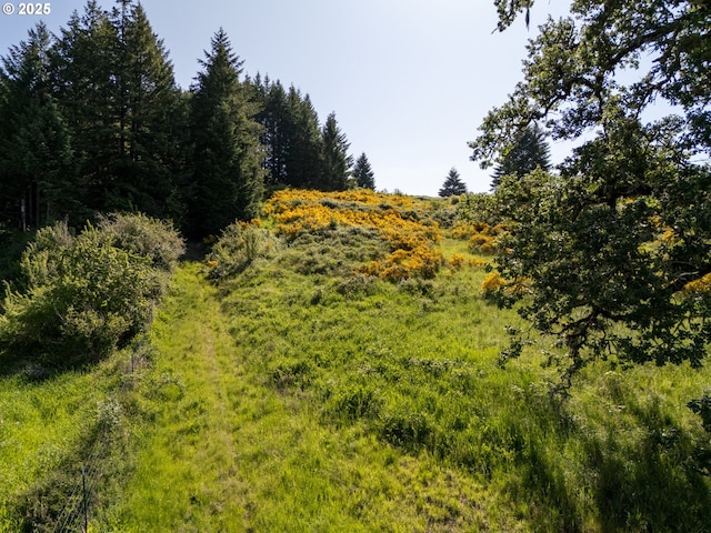 6900 NW Gales Creek Rd, Forest Grove, OR 97116