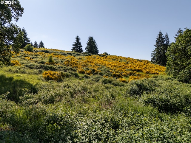 6900 NW Gales Creek Rd, Forest Grove, OR 97116