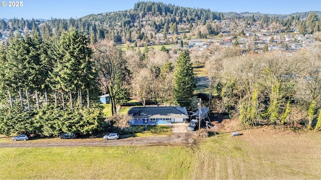 aerial view with a mountain view