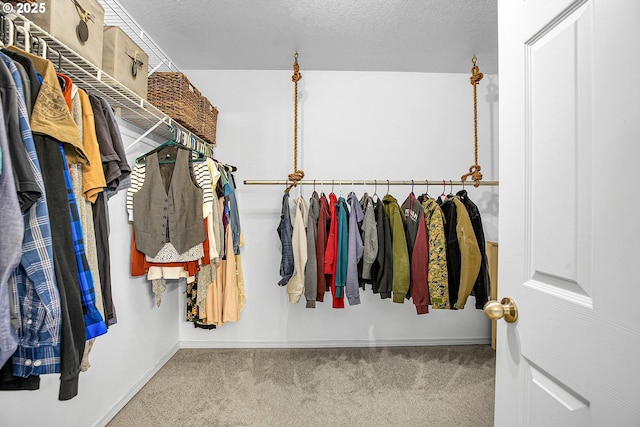 spacious closet featuring carpet flooring