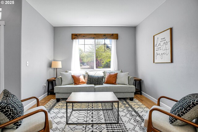 living area featuring baseboards and light wood-style floors