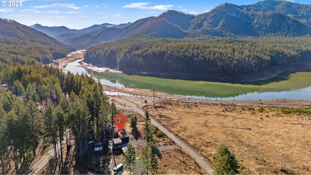 property view of mountains featuring a water view and a forest view