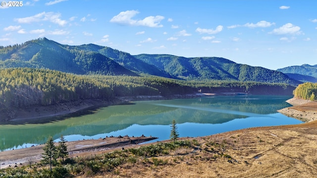 property view of water with a mountain view