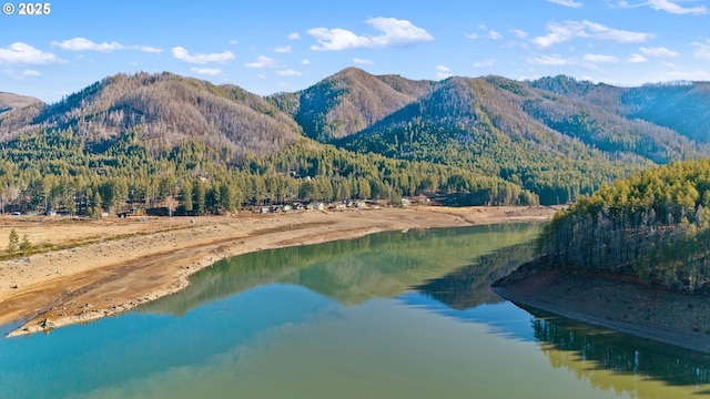 mountain view with a water view and a wooded view