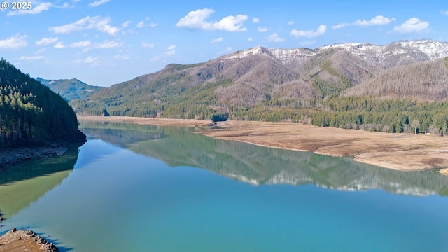 view of water feature with a mountain view and a view of trees