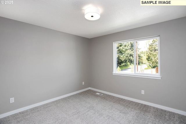 empty room with carpet and a textured ceiling