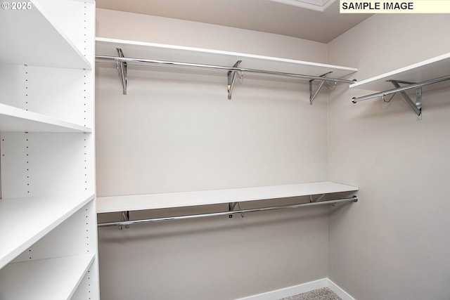 view of spacious closet