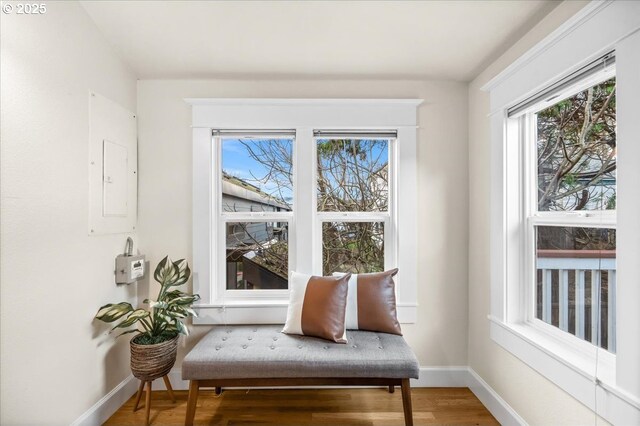 bedroom with hardwood / wood-style floors