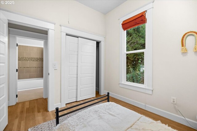 bedroom with hardwood / wood-style flooring, multiple windows, and a closet