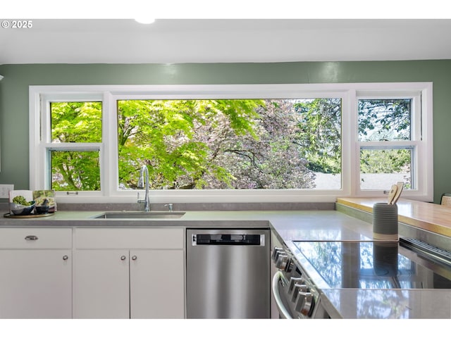 kitchen with a sink, light countertops, stainless steel appliances, and white cabinetry