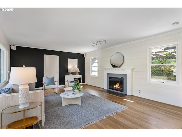 living room featuring baseboards, a fireplace with flush hearth, wood finished floors, and an accent wall