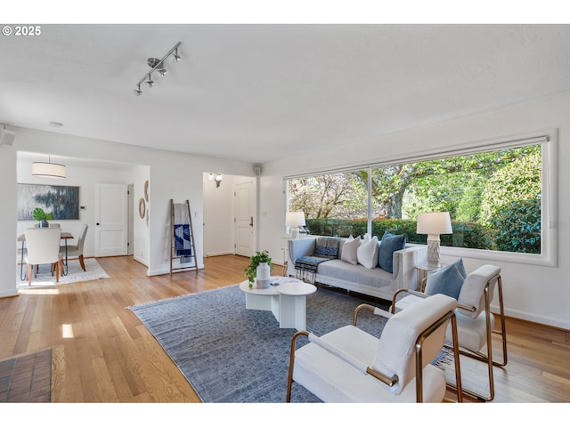 living room with baseboards, rail lighting, and light wood-style flooring