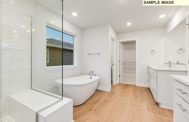 bathroom with wood finished floors, vanity, a freestanding tub, baseboards, and a spacious closet