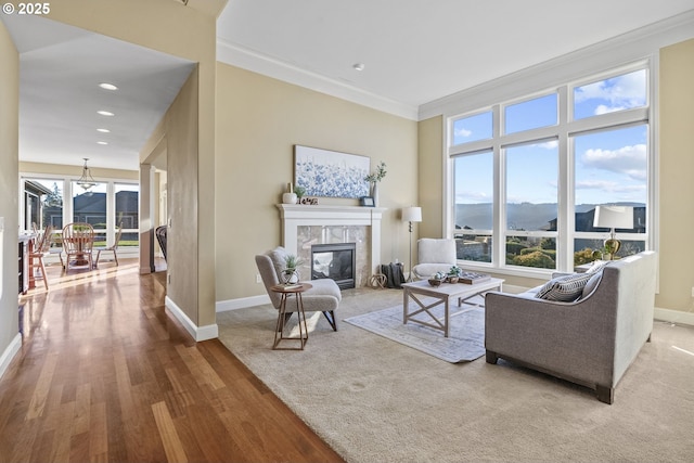 living room featuring a mountain view, crown molding, a high end fireplace, and hardwood / wood-style floors