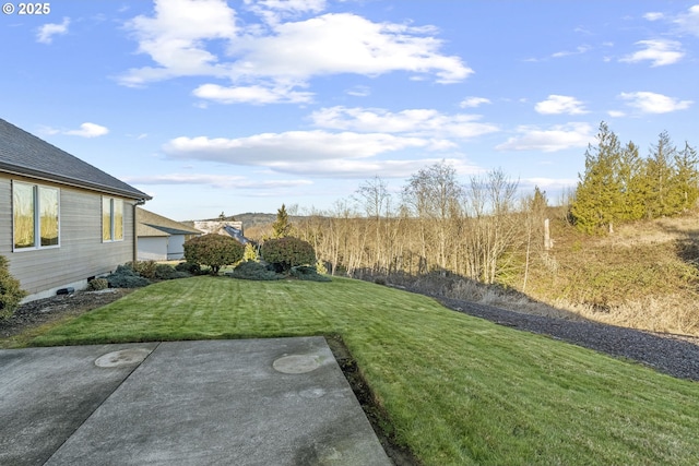 view of yard featuring a patio