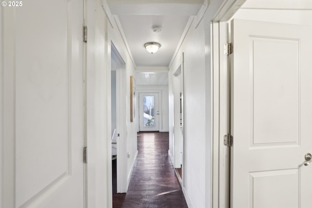 hall with crown molding and dark hardwood / wood-style flooring