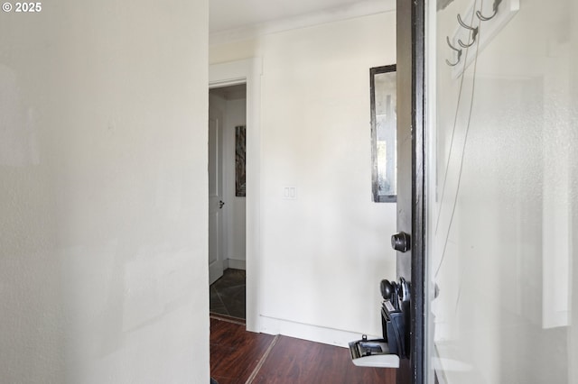 hall featuring dark wood-type flooring