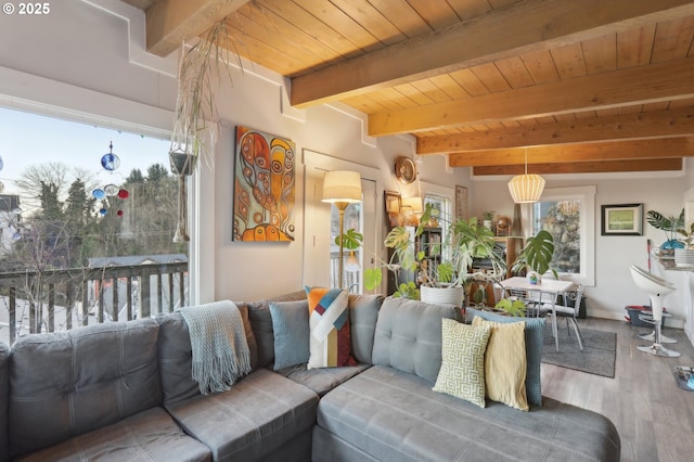 living room featuring hardwood / wood-style flooring, wooden ceiling, and beam ceiling