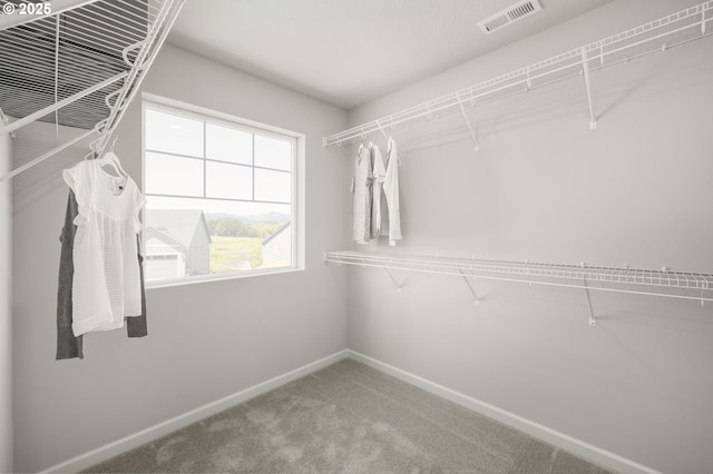 5603 Edward Ct SE, Albany, OR 97322 - walk in closet featuring carpet flooring