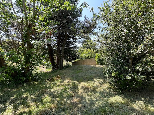 91456 State Rd, Coquille, OR 97423 - view of yard