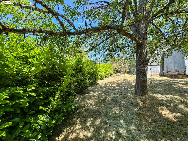 91456 State Rd, Coquille, OR 97423 - view of yard