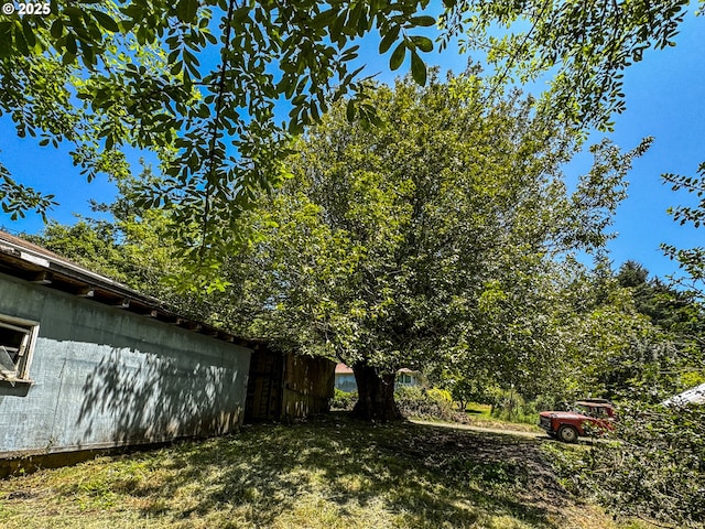 91456 State Rd, Coquille, OR 97423 - view of yard