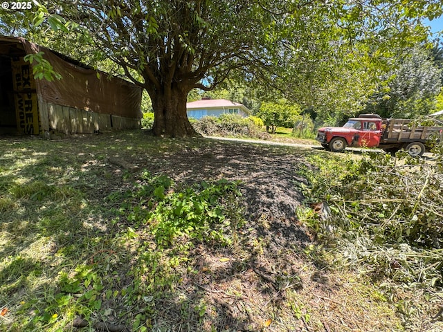 91456 State Rd, Coquille, OR 97423 - view of yard