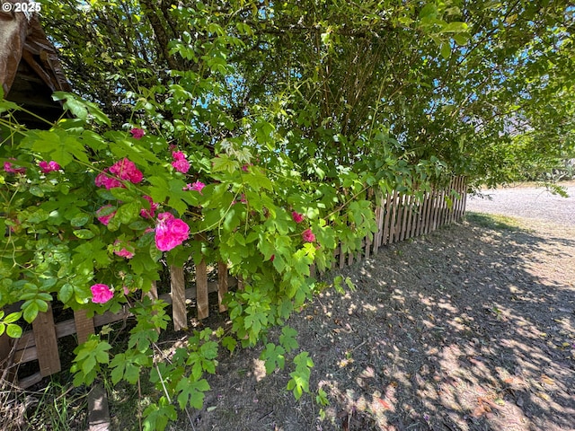 91456 State Rd, Coquille, OR 97423 - view of yard