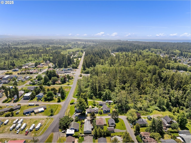 1225 3rd Ave, Hammond, OR 97121 - aerial view of residential area featuring a forest